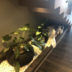 Plant Lighting under Staircase