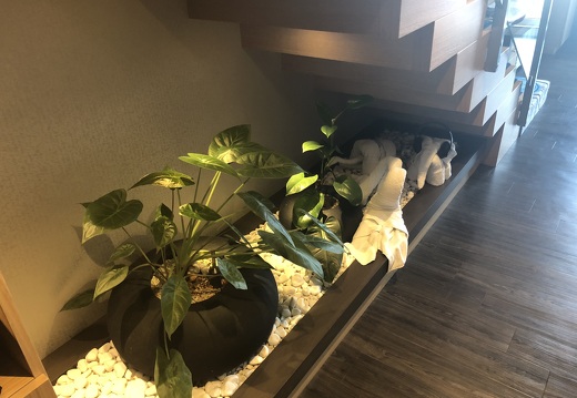 Plant Lighting under Staircase