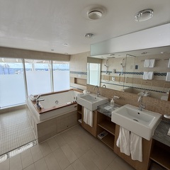 Master Bathroom - Tub and dual sinks