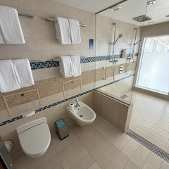 Master Bathroom - Bidet + Shower