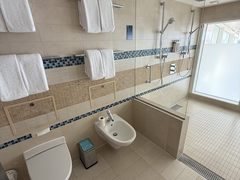 Master Bathroom - Bidet + Shower