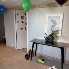 Foyer / Entrance Area